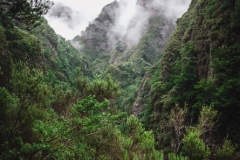 Amazing Madeira