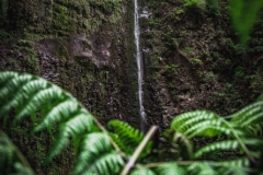 La Piccola Cascata